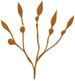 a brown flower with leaves on it.jpg